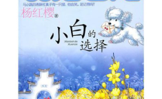 小猫日记,温馨日常与成长点滴
