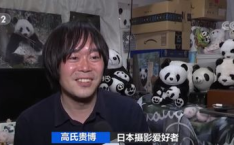 亿1香香,7天狂揽1亿，揭秘她的成功秘诀”